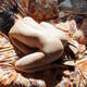 fantastica ary nuda